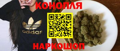 стаф Лесосибирск