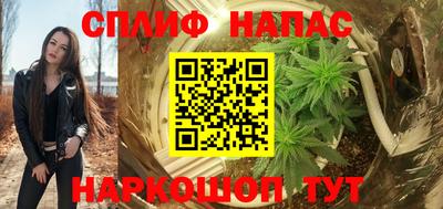 стаф Лесосибирск