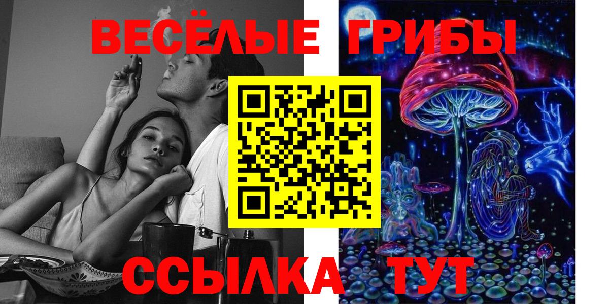 Псилоцибиновые грибы мицелий  Вход с VPN  Тихвин 
