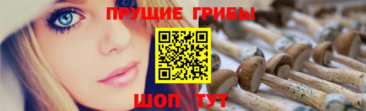 Псилоцибиновые грибы Magic Shrooms Тихвин